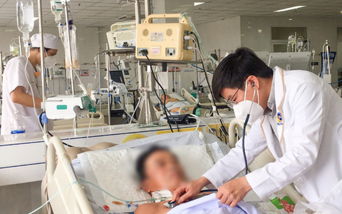 Nhập viện nguy kịch do bị ong vò vẽ đốt hơn 100 vết