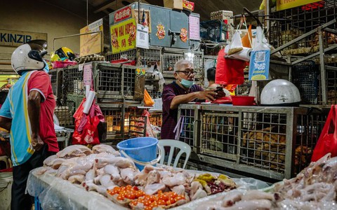 Hai quốc gia châu Á phải lao đao vì con gà: Chủ cửa hàng chật vật không dám bán, người mua "bấm bụng" chẳng dám ăn 