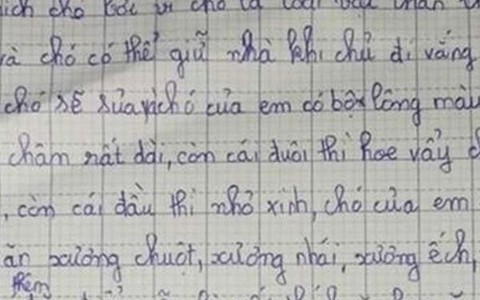 Cười ngất với bài văn tả cún cưng của bé gái tiểu học: Thích ăn kem, có lúc bỏ nhà theo trai