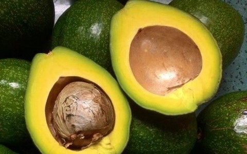 Điều gì xảy ra nếu bạn ăn 1 quả bơ mỗi ngày?