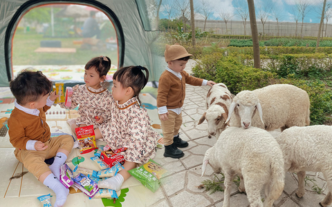 Cuối tuần rủ nhau đi chill, các con được thỏa thích "hóa thân" thành nông dân chăn cừu, phụ huynh có nơi để sống ảo!