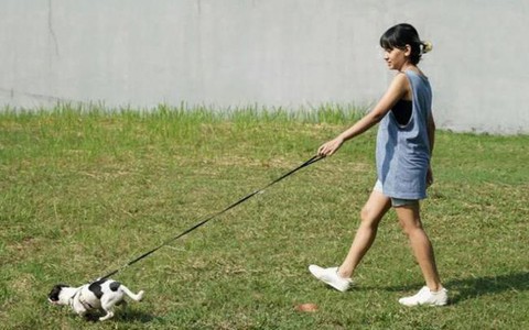 Làm 1 việc sau bữa ăn vừa tốt cho tim mạch lại ổn định đường huyết, người ngoài 50 tuổi nên làm thêm 2 việc có lợi không kém đi bộ