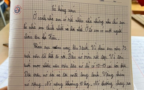 Thêm bài văn tả "cháu Kiên" của học sinh cấp 1 khiến ai nấy cười xỉu: Đầu lưa thưa vài sợi tóc nhưng 3 tuổi đã có "siêu năng lực" đáng gờm
