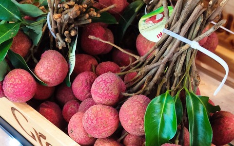 Vải thiều, thanh long chen chân vào thị trường 2,6 tỉ USD của Thái Lan