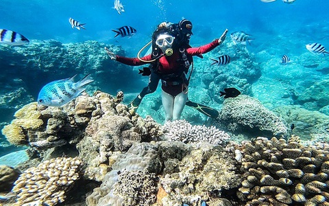 Tạm dừng du lịch lặn biển khu vực dễ gây tổn hại san hô ở vịnh Nha Trang