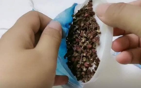 Chỉ 1 nắm hạt tiêu nhỏ cũng có thể gây bất ngờ, tiếc là nhiều chị em chưa biết