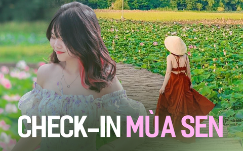 Nếu đến 3 nơi này nhất định không nên bỏ qua việc ghé thăm các hồ sen được cho là đẹp nhất cả nước!