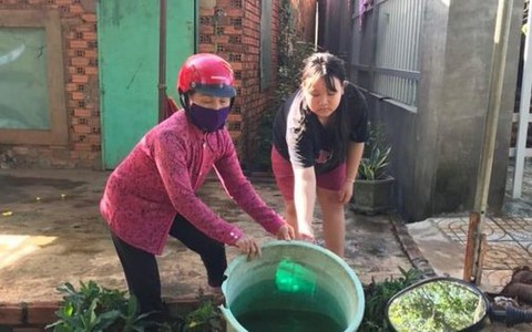 Virus gây sốt xuất huyết ở Bình Phước là chủng có độc lực mạnh