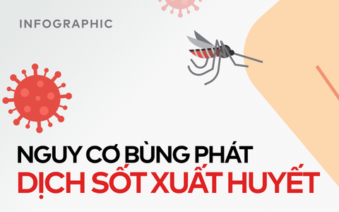 Toàn cảnh tình hình dịch sốt xuất huyết bùng phát ở các tỉnh phía Nam