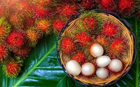 5 nhóm người không nên ăn loại quả có thể hỗ trợ phòng ngừa ung thư