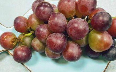 Ăn nho vừa ngon vừa mang lại nhiều lợi ích cho sức khỏe nhưng có 4 lưu ý khi dùng mà bạn tuyệt đối đừng bỏ qua