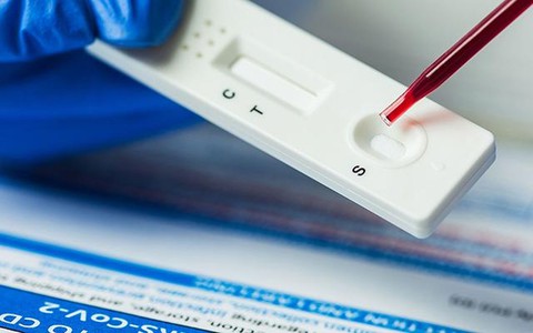 Bất ngờ: Tìm thấy kháng thể chống Covid-19 trong loài gia cầm phổ biến ở Việt Nam