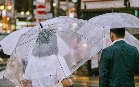 Chiếc ô trong suốt ở Nhật Bản: Trở thành vật quốc dân trong ngày mưa, là nét văn hóa không thể thiếu của đất nước mặt trời mọc