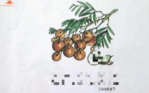 Câu đố Tiếng Việt "Đây là quả gì?" trong sách giáo khoa lớp 1, đoán đúng chứng tỏ ngày xưa học giỏi lắm!