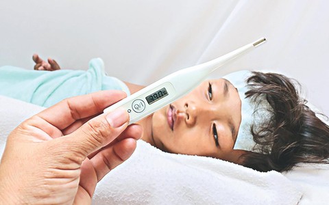 Việt Nam đã có vắc xin phòng ngừa bệnh sốt xuất huyết chưa?