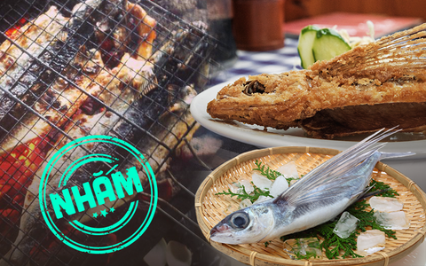 Cá chuồn bay - đặc sản khiến dân vùng biển đi nhớ về thương