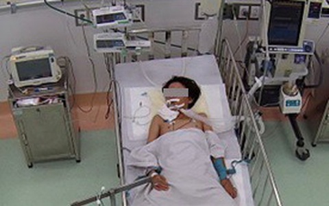 Bé trai nguy kịch do rắn cạp nia cắn khi đang nằm ngủ