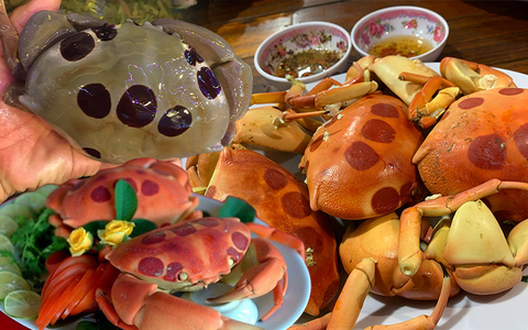 Cua mặt trăng: Giá gần nửa triệu/kg vẫn được nhiều người tìm mua