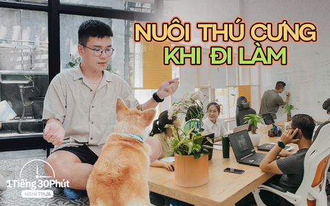 Sếp xây văn phòng như nơi triển lãm, mang thú cưng đến cho nhân viên vừa làm vừa chơi