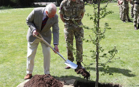 Đài tưởng niệm Nữ hoàng Elizabeth II lớn nhất sẽ 'bén rễ' vào mùa đông