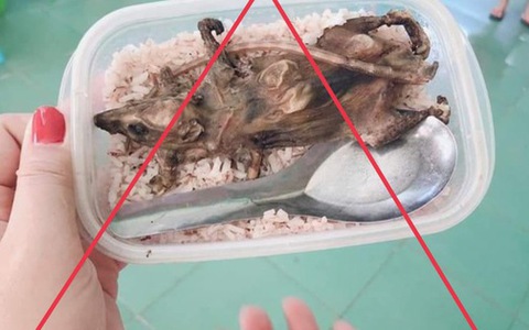 Vụ 'học sinh ăn cơm với thịt chuột': Cô giáo đăng ảnh cũ năm 2019