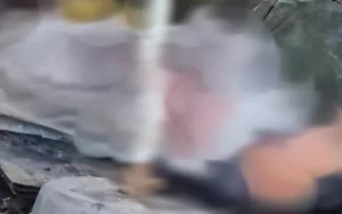 Án mạng đau lòng xảy ra tại Long An