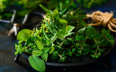 Rau sống ngâm nước muối đã đủ an toàn? Chuyên gia chỉ ra những sai lầm nhiều người mắc
