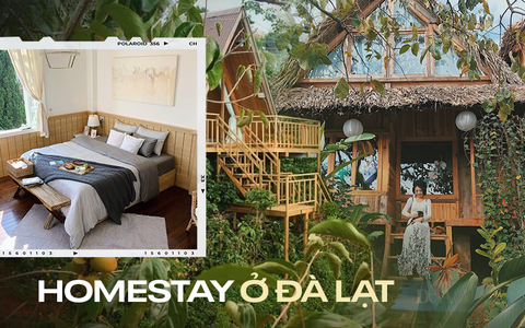 5 homestay đang được giảm giá ở Đà Lạt cho bạn thoả thích 'đón đầu' mùa hồng chín