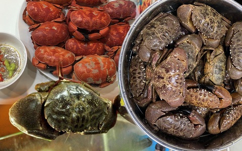 Đặc sản nổi tiếng của Quảng Ninh với giá bán gần 400k/kg