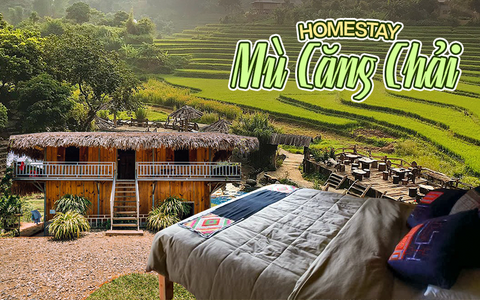 5 homestay giá bình dân, lại đang được ưu đãi cho chuyến 'săn' lúa chín vàng ở Mù Căng Chải