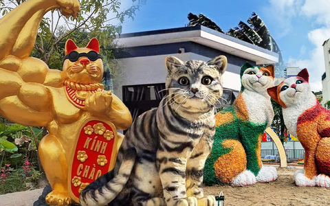 Cộng đồng mạng rần rần với những linh vật mèo gây sốt của các tỉnh thành khắp Việt Nam