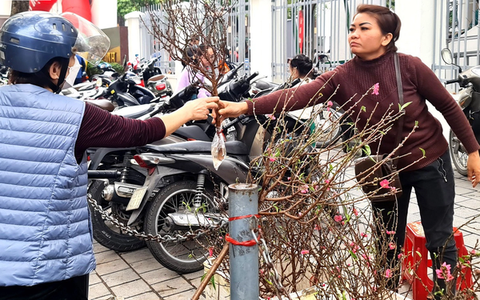 Chợ Tết ở Hà Nội: Nhiều loại hoa, quả tăng giá 20% - 50%