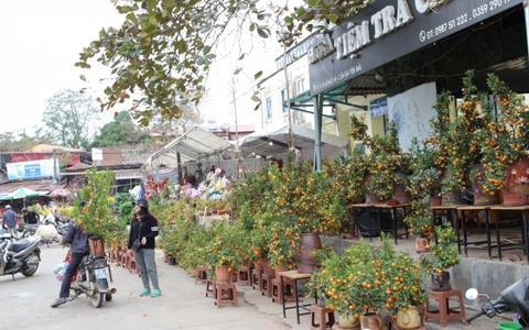 Nhộn nhịp thị trường hàng hóa ngày giáp Tết