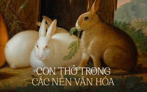 Hình tượng loài thỏ trong nền văn hóa thế giới: Đại diện cho sự nhanh nhẹn, tham vọng và đặc biệt liên quan đến mặt trăng