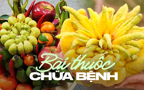 Phật thủ thắp hương xong đừng vứt bỏ, giữ lại dùng cách này sẽ có bài thuốc chữa bệnh cực hay