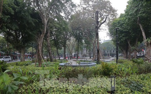 Khoác "áo mới" cho Vườn hoa Diên Hồng