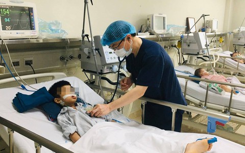 Hà Nội ghi nhận hai ca mắc viêm não Nhật Bản