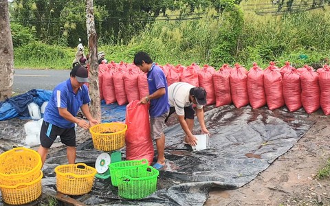 Ngâm mình hàng giờ bắt "con hai mảnh" dưới sông