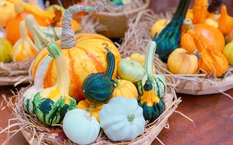 Săn mua set bí ngô đẹp hút mắt ‘sống ảo’ dịp Halloween