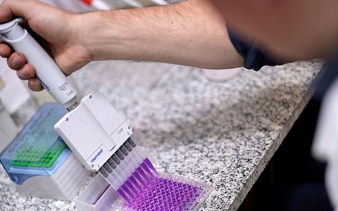 Brazil phát triển vaccine chống nghiện cocaine