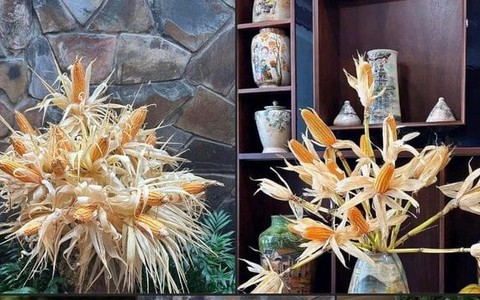 Rộ mốt cắm ngô chơi cả tháng thay hoa tươi