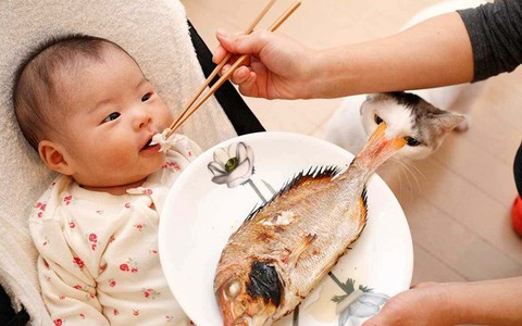 Hải sản giàu canxi nhưng cho trẻ ăn thế nào mới đúng?