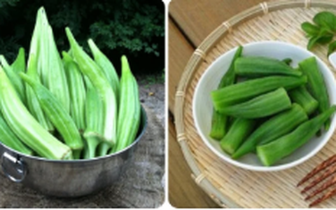 Tác dụng giúp đậu bắp được ví ‘nhân sâm xanh’