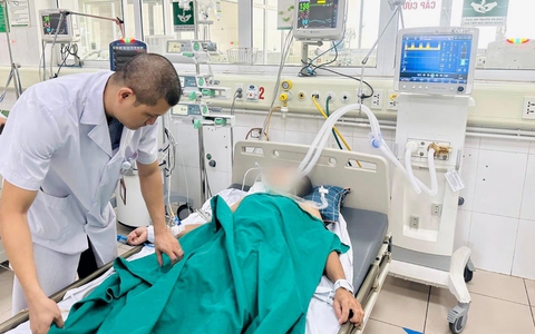 Bị mèo cắn, người đàn ông nguy kịch