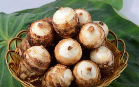 Tại sao khoai sọ là 'thần dược của nhà nghèo'?