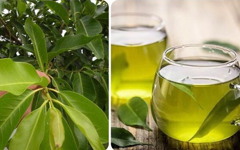 Nước vối ngon mát nhưng lại 'đại kỵ' với 6 nhóm người này