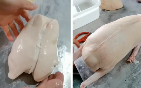 Cận cảnh tạo ra món ăn "nhà giàu" xa xỉ bậc nhất thế giới nhưng lại gây phẫn nộ vì sự tàn nhẫn
