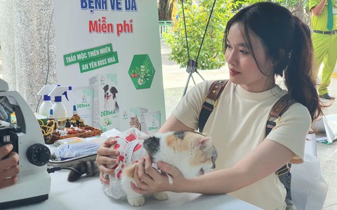Chó biết làm toán, mèo 300 triệu xuất hiện tại ngày hội độc đáo lần đầu tổ chức ở TP.HCM