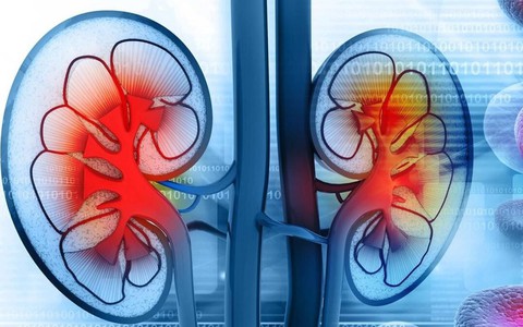 6 đặc điểm của người có thận khỏe: Nếu bạn có đủ thì xin chúc mừng!