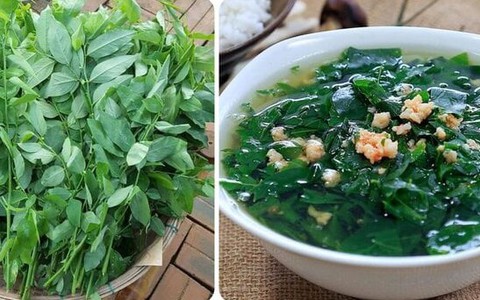 Rau ngót cực bổ dưỡng nhưng 'đại kỵ' với 3 nhóm người này